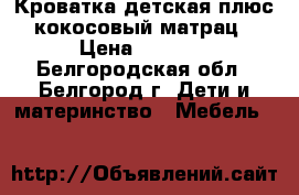 Кроватка детская плюс кокосовый матрац › Цена ­ 3 000 - Белгородская обл., Белгород г. Дети и материнство » Мебель   